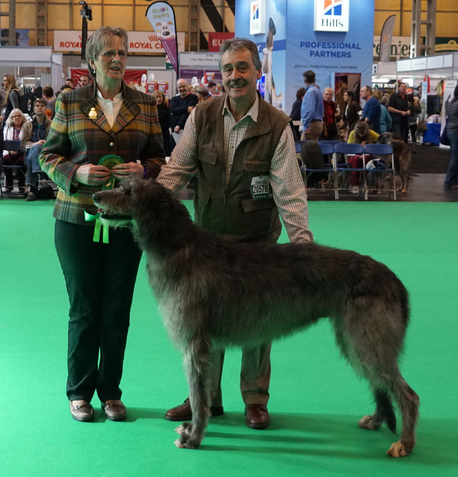 Dog CC Winner Crufts 2016